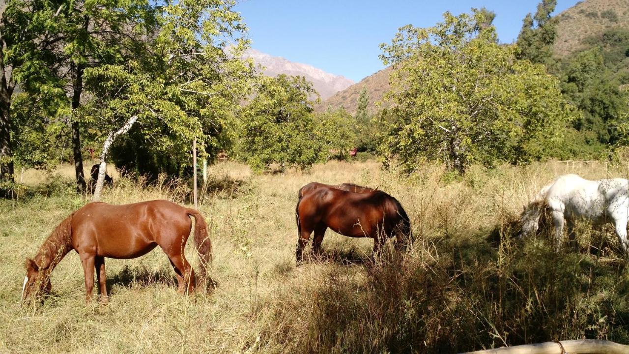 Cascada Lodge Cajon Del Maipo San José de Maipo Exteriér fotografie